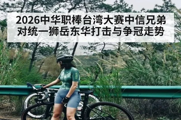2026中华职棒台湾大赛中信兄弟对统一狮岳东华打击与争冠走势